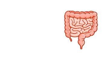 IRRITABLE BOWEL SYNDROME